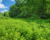 TBD Indian Fork Creek, Parsons, West Virginia 26287, ,Lots/land,For Sale,Indian Fork,10160171