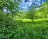 TBD Indian Fork Creek, Parsons, West Virginia 26287, ,Lots/land,For Sale,Indian Fork,10160171