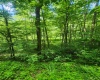 TBD Indian Fork Creek, Parsons, West Virginia 26287, ,Lots/land,For Sale,Indian Fork,10160171
