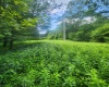 TBD Indian Fork Creek, Parsons, West Virginia 26287, ,Lots/land,For Sale,Indian Fork,10160171