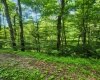 TBD Indian Fork Creek, Parsons, West Virginia 26287, ,Lots/land,For Sale,Indian Fork,10160171