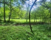 TBD Indian Fork Creek, Parsons, West Virginia 26287, ,Lots/land,For Sale,Indian Fork,10160171