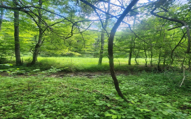 TBD Indian Fork Creek, Parsons, West Virginia 26287, ,Lots/land,For Sale,Indian Fork,10160171