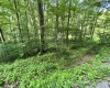 TBD Indian Fork Creek, Parsons, West Virginia 26287, ,Lots/land,For Sale,Indian Fork,10160171