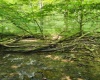 TBD Indian Fork Creek, Parsons, West Virginia 26287, ,Lots/land,For Sale,Indian Fork,10160171