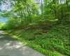 TBD Indian Fork Creek, Parsons, West Virginia 26287, ,Lots/land,For Sale,Indian Fork,10160171