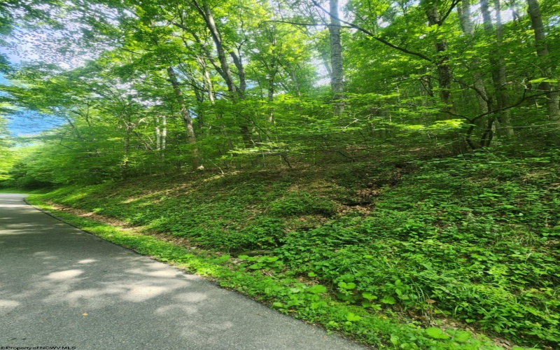 TBD Indian Fork Creek, Parsons, West Virginia 26287, ,Lots/land,For Sale,Indian Fork,10160171