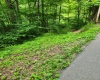 TBD Indian Fork Creek, Parsons, West Virginia 26287, ,Lots/land,For Sale,Indian Fork,10160171