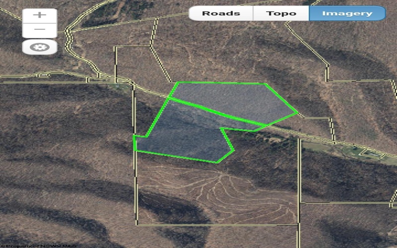TBD Indian Fork Creek, Parsons, West Virginia 26287, ,Lots/land,For Sale,Indian Fork,10160171