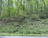 TBD Indian Fork Creek, Parsons, West Virginia 26287, ,Lots/land,For Sale,Indian Fork,10160171