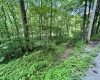 TBD Indian Fork Creek, Parsons, West Virginia 26287, ,Lots/land,For Sale,Indian Fork,10160171