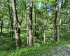 TBD Indian Fork Creek, Parsons, West Virginia 26287, ,Lots/land,For Sale,Indian Fork,10160171
