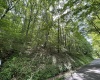 TBD Indian Fork Creek, Parsons, West Virginia 26287, ,Lots/land,For Sale,Indian Fork,10160171