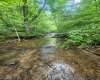 TBD Indian Fork Creek, Parsons, West Virginia 26287, ,Lots/land,For Sale,Indian Fork,10160171