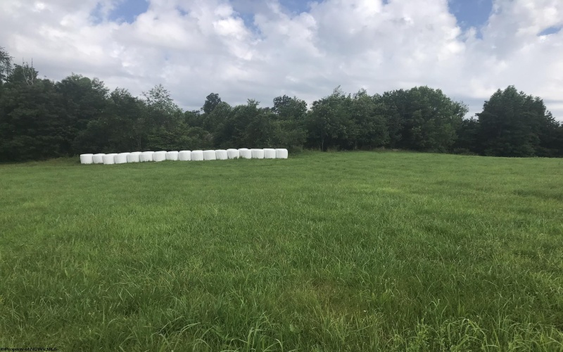 TBD Irish Ridge Road, Tunnelton, West Virginia 26444, ,Lots/land,For Sale,Irish Ridge,10160165
