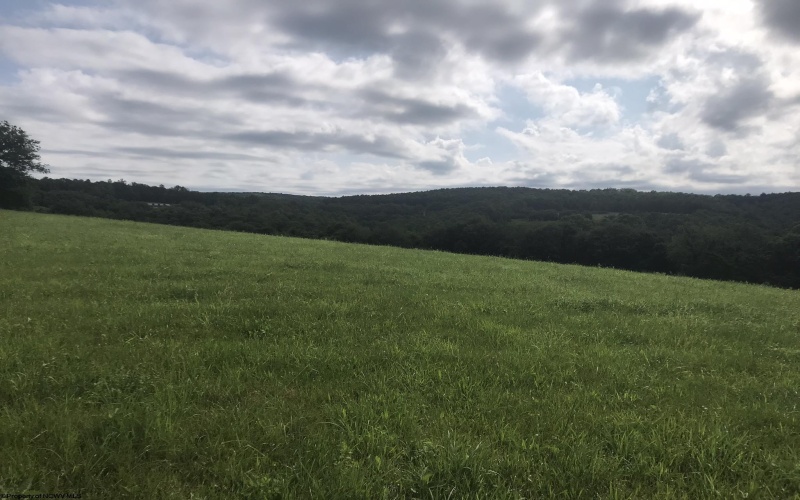 TBD Irish Ridge Road, Tunnelton, West Virginia 26444, ,Lots/land,For Sale,Irish Ridge,10160165