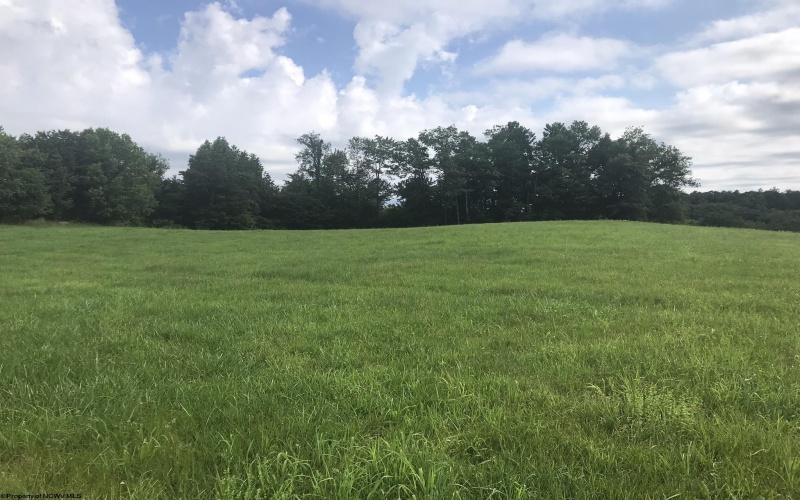 TBD Irish Ridge Road, Tunnelton, West Virginia 26444, ,Lots/land,For Sale,Irish Ridge,10160165