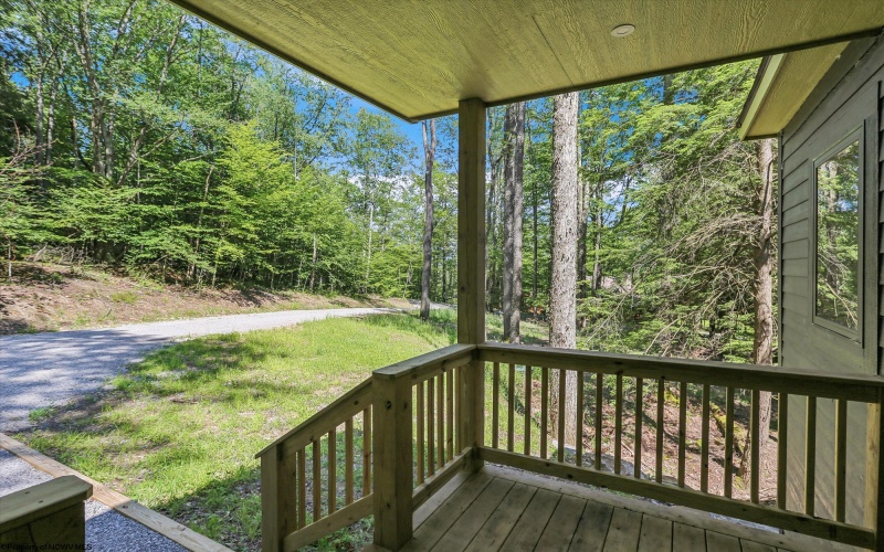 701 Black Bear Trail, Davis, West Virginia 26260, 3 Bedrooms Bedrooms, 6 Rooms Rooms,2 BathroomsBathrooms,Single Family Detached,For Sale,Black Bear,10160176