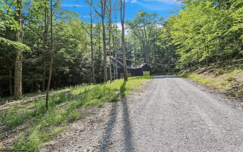 701 Black Bear Trail, Davis, West Virginia 26260, 3 Bedrooms Bedrooms, 6 Rooms Rooms,2 BathroomsBathrooms,Single Family Detached,For Sale,Black Bear,10160176