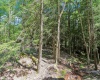 701 Black Bear Trail, Davis, West Virginia 26260, 3 Bedrooms Bedrooms, 6 Rooms Rooms,2 BathroomsBathrooms,Single Family Detached,For Sale,Black Bear,10160176