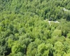 TBD Pell Road, Kingwood, West Virginia 26537, ,Lots/land,For Sale,Pell,10160182