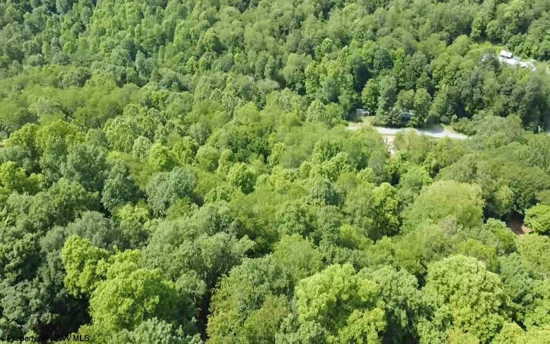 TBD Pell Road, Kingwood, West Virginia 26537, ,Lots/land,For Sale,Pell,10160182