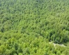 TBD Pell Road, Kingwood, West Virginia 26537, ,Lots/land,For Sale,Pell,10160182