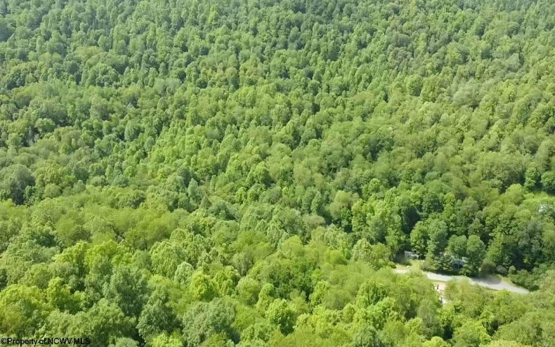 TBD Pell Road, Kingwood, West Virginia 26537, ,Lots/land,For Sale,Pell,10160182