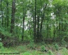 TBD Knotty Pine Drive, Parsons, West Virginia 26287, ,Lots/land,For Sale,Knotty Pine,10160190