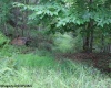 TBD Knotty Pine Drive, Parsons, West Virginia 26287, ,Lots/land,For Sale,Knotty Pine,10160190