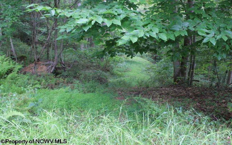 TBD Knotty Pine Drive, Parsons, West Virginia 26287, ,Lots/land,For Sale,Knotty Pine,10160190