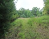 TBD Knotty Pine Drive, Parsons, West Virginia 26287, ,Lots/land,For Sale,Knotty Pine,10160190