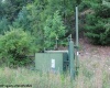 TBD Knotty Pine Drive, Parsons, West Virginia 26287, ,Lots/land,For Sale,Knotty Pine,10160190