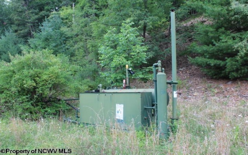TBD Knotty Pine Drive, Parsons, West Virginia 26287, ,Lots/land,For Sale,Knotty Pine,10160190