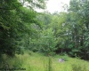 TBD Knotty Pine Drive, Parsons, West Virginia 26287, ,Lots/land,For Sale,Knotty Pine,10160190