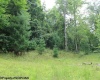 TBD Knotty Pine Drive, Parsons, West Virginia 26287, ,Lots/land,For Sale,Knotty Pine,10160190