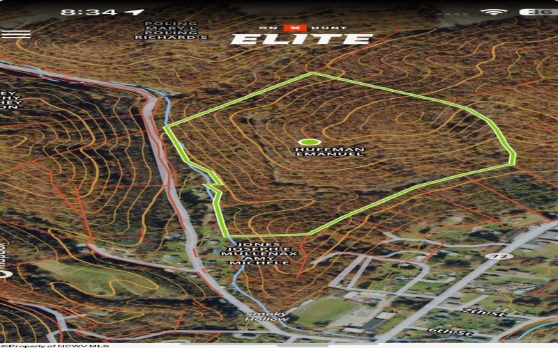 TBD Knotty Pine Drive, Parsons, West Virginia 26287, ,Lots/land,For Sale,Knotty Pine,10160190