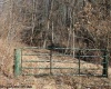 TBD Knotty Pine Drive, Parsons, West Virginia 26287, ,Lots/land,For Sale,Knotty Pine,10160190