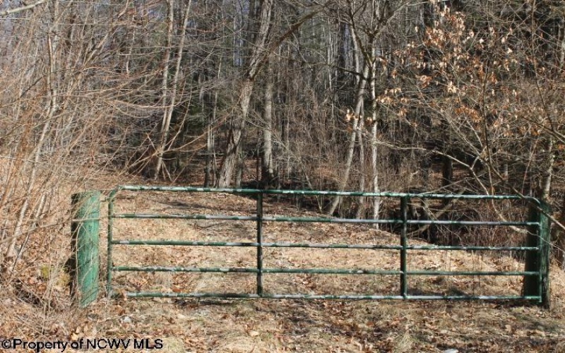 TBD Knotty Pine Drive, Parsons, West Virginia 26287, ,Lots/land,For Sale,Knotty Pine,10160190