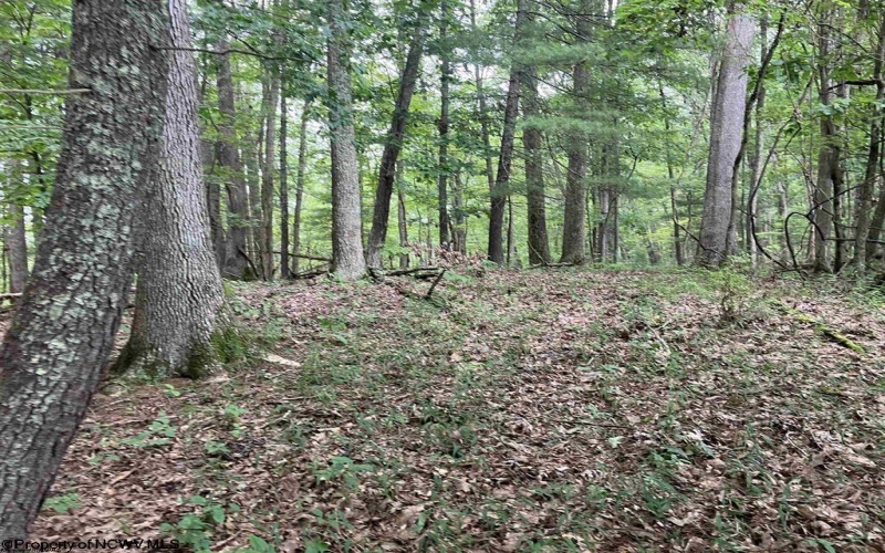 TBD Knotty Pine Drive, Parsons, West Virginia 26287, ,Lots/land,For Sale,Knotty Pine,10160190