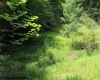 TBD Knotty Pine Drive, Parsons, West Virginia 26287, ,Lots/land,For Sale,Knotty Pine,10160190