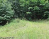 TBD Knotty Pine Drive, Parsons, West Virginia 26287, ,Lots/land,For Sale,Knotty Pine,10160190