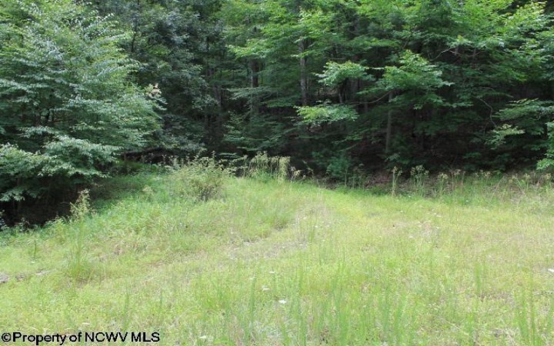 TBD Knotty Pine Drive, Parsons, West Virginia 26287, ,Lots/land,For Sale,Knotty Pine,10160190