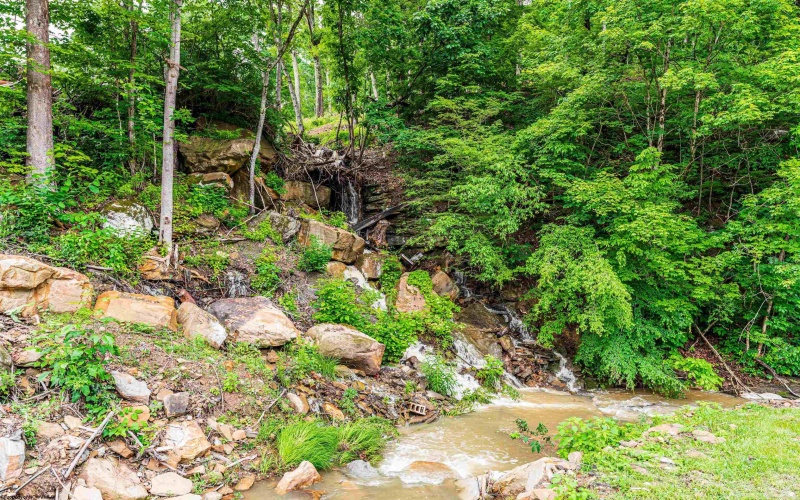 1635 Daybrook Road, Fairview, West Virginia 26570, ,Lots/land,For Sale,Daybrook,10160210