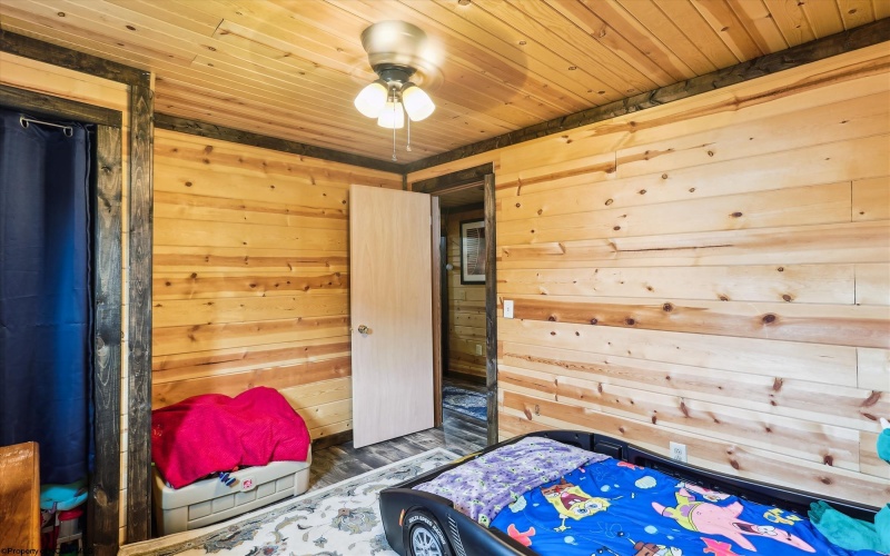 642 Blackwater Avenue, Davis, West Virginia 26260, 3 Bedrooms Bedrooms, 5 Rooms Rooms,2 BathroomsBathrooms,Single Family Detached,For Sale,Blackwater,10160215