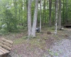 164 Lake Drive, Buckhannon, West Virginia 26201-4033, ,Lots/land,For Sale,Lake,10160234