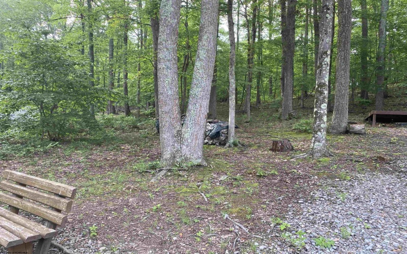 164 Lake Drive, Buckhannon, West Virginia 26201-4033, ,Lots/land,For Sale,Lake,10160234