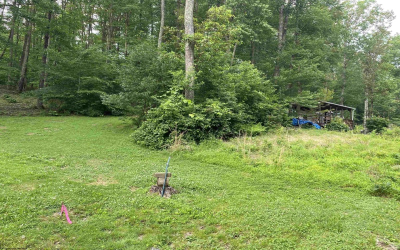 164 Lake Drive, Buckhannon, West Virginia 26201-4033, ,Lots/land,For Sale,Lake,10160234
