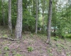 164 Lake Drive, Buckhannon, West Virginia 26201-4033, ,Lots/land,For Sale,Lake,10160234