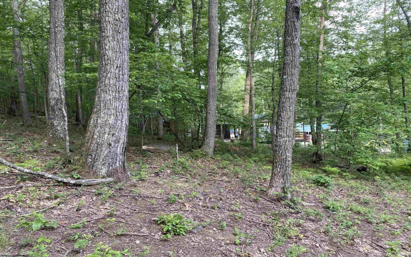 164 Lake Drive, Buckhannon, West Virginia 26201-4033, ,Lots/land,For Sale,Lake,10160234
